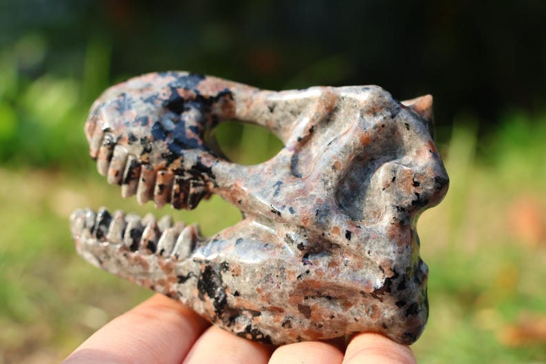 3" Natural Yooperlite dinosaur skull, Quartz Crystal Carved,Crystal Heal Reiki, Home decoration, Crystal Gifts
