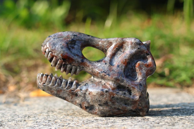 3" Natural Yooperlite dinosaur skull, Quartz Crystal Carved,Crystal Heal Reiki, Home decoration, Crystal Gifts