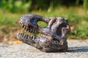 3" Natural Yooperlite dinosaur skull, Quartz Crystal Carved,Crystal Heal Reiki, Home decoration, Crystal Gifts