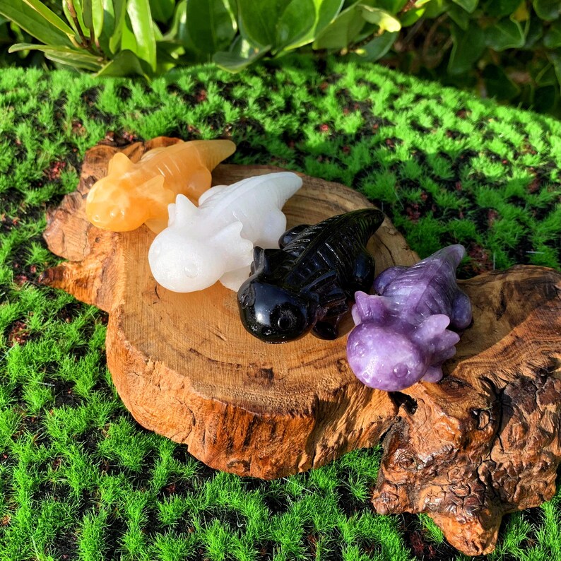 2.5“ Natural Mix Quartz Salamander,Crystal Salamander,Crystal Animal,Crystal Heal,Crystal Sculpture,Mineral specimen,Crystal Gift,Home Decor