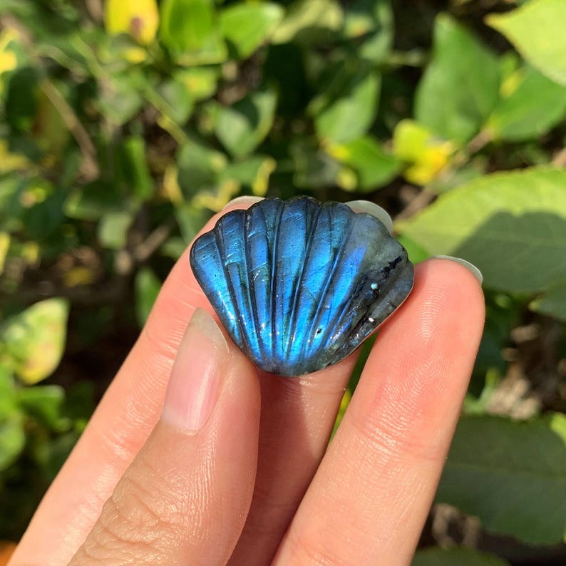 1.1" Natural Labradorite Shell,Quartz Shell,Crystal Shell Carving,Mineral Specimen,Home Decor,Reiki Healing,Crystal Gifts,Crystal chakra
