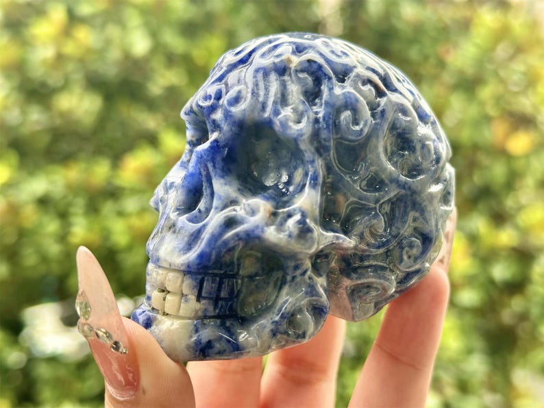 2.6" Natural Sodalite Hand Carved Cerebrum Skull,Crystal quartz Skull,Skull Carving,Energy crystal,Reiki healing,Home Decor,Crystal gift 1PC