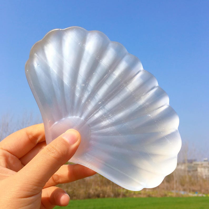 6" Natural Selenite Shell,Satin Spar Selenite Shell,Crystal Energy,Home Decoration,Gifts,Reiki Healing,Jewelry Demagnetization