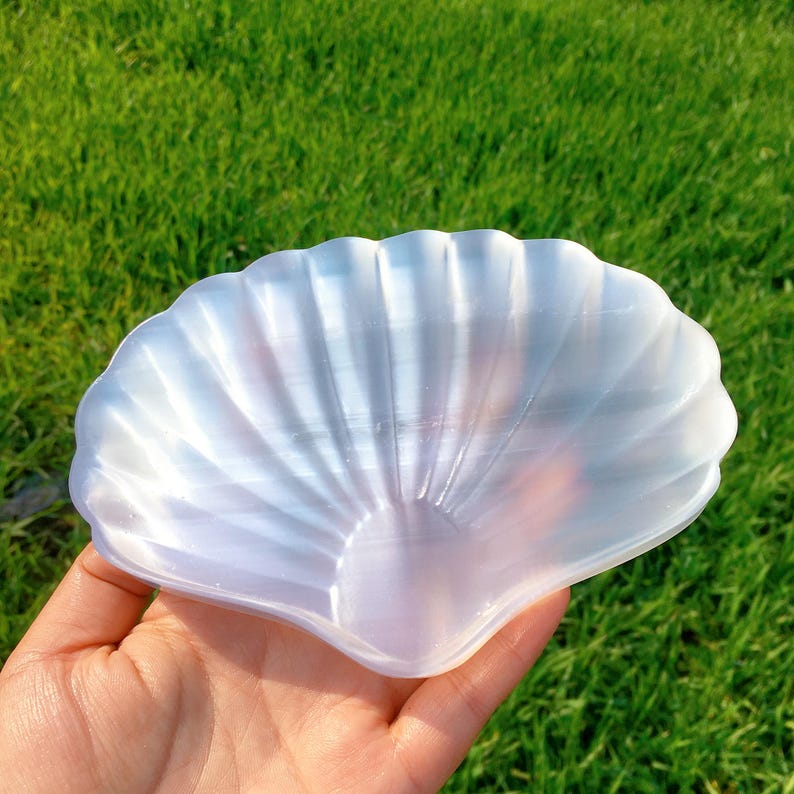 6" Natural Selenite Shell,Satin Spar Selenite Shell,Crystal Energy,Home Decoration,Gifts,Reiki Healing,Jewelry Demagnetization