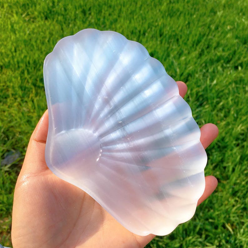 6" Natural Selenite Shell,Satin Spar Selenite Shell,Crystal Energy,Home Decoration,Gifts,Reiki Healing,Jewelry Demagnetization