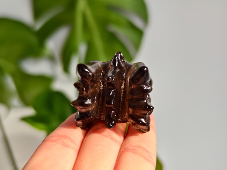 2.6" Natural Smokey Quartz Dragon，Quartz Crystal Dragon Head Carving,Smokey Quartz Dragon，Home Decor，Reiki Healing Figurine，Crystal gifts