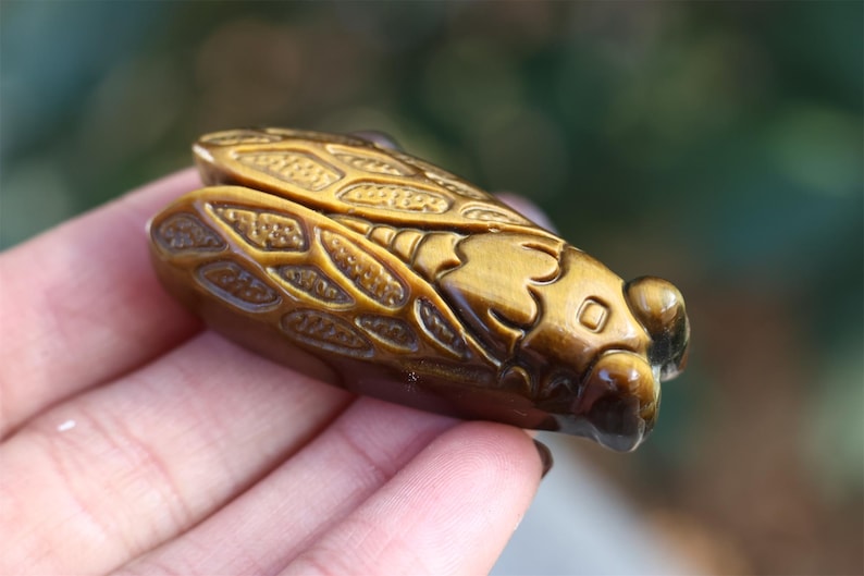 1.8" Natural Tiger eye Cicada ,Quartz Crystal Carved ,Crystal Heal Reiki,Home decoration,Crystal Sculpture,Mineral,Crystal Gifts
