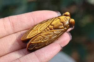 1.8" Natural Tiger eye Cicada ,Quartz Crystal Carved ,Crystal Heal Reiki,Home decoration,Crystal Sculpture,Mineral,Crystal Gifts