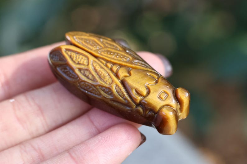 1.8" Natural Tiger eye Cicada ,Quartz Crystal Carved ,Crystal Heal Reiki,Home decoration,Crystal Sculpture,Mineral,Crystal Gifts