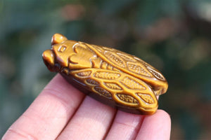 1.8" Natural Tiger eye Cicada ,Quartz Crystal Carved ,Crystal Heal Reiki,Home decoration,Crystal Sculpture,Mineral,Crystal Gifts