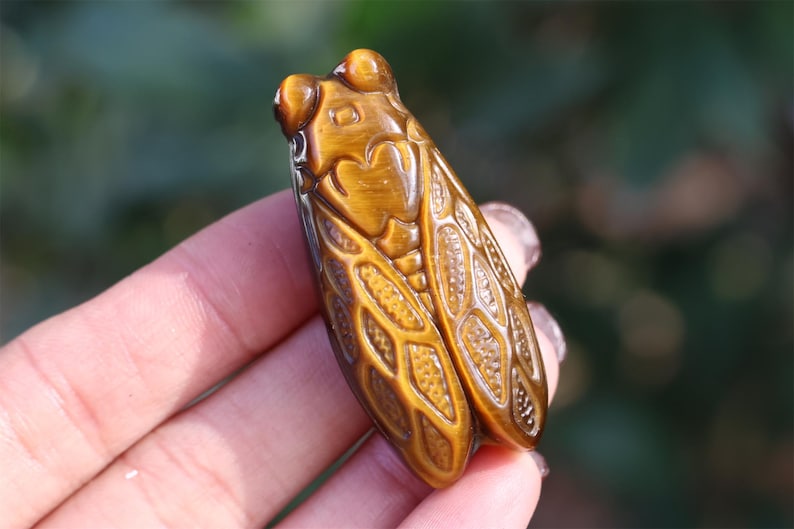 1.8" Natural Tiger eye Cicada ,Quartz Crystal Carved ,Crystal Heal Reiki,Home decoration,Crystal Sculpture,Mineral,Crystal Gifts