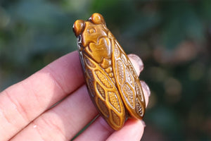 1.8" Natural Tiger eye Cicada ,Quartz Crystal Carved ,Crystal Heal Reiki,Home decoration,Crystal Sculpture,Mineral,Crystal Gifts