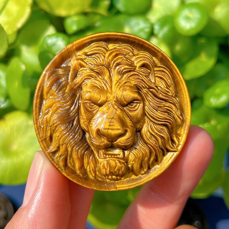 1PC Natural Tiger Eye Jasper Lion,Quartz Crystal Lion,Crystal Carved,Mineral Specimen,Rock,Home Decoration,Reiki Healing,Crystal Gift 40g+
