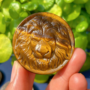 1PC Natural Tiger Eye Jasper Lion,Quartz Crystal Lion,Crystal Carved,Mineral Specimen,Rock,Home Decoration,Reiki Healing,Crystal Gift 40g+