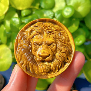 1PC Natural Tiger Eye Jasper Lion,Quartz Crystal Lion,Crystal Carved,Mineral Specimen,Rock,Home Decoration,Reiki Healing,Crystal Gift 40g+