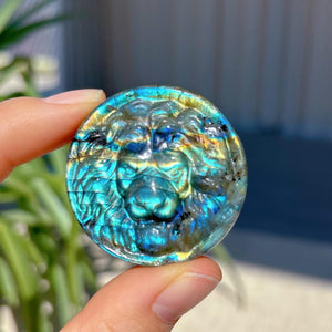 Natural Labradorite Lion,Quartz Crystal Lion,Mineral Sample,Crystal Pendant,Crystal Animal,Reiki Healing,Crystal Gift,Crystal Energy,Rock