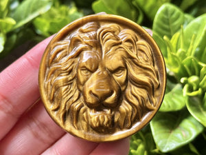 2" Natural Tiger Eye Stone Hand Carved Lion Head,Crystal Quartz Skull,Lion Carving,Energy crystal,Reiki healing,Home Decor,Crystal gift 1PC