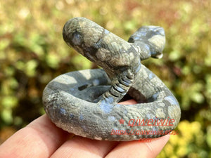 2.8" Natural Llanite Hand Carved Snake,Crystal quartz Skull,Snake Carving,Energy crystal,Reiki healing,Home Decor,Crystal gifts 1PC