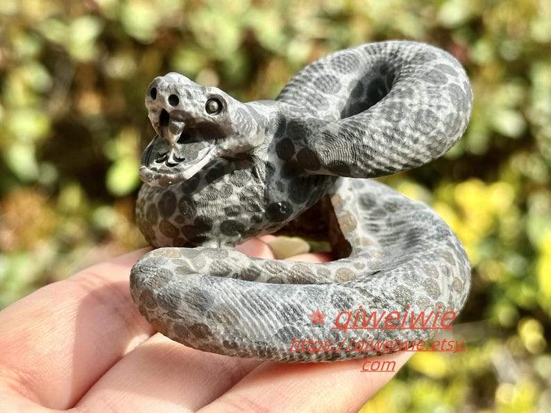 2.8" Natural Money stone Hand Carved Snake,Crystal quartz Skull,Snake Carving,Energy crystal,Reiki healing,Home Decor,Crystal gifts 1PC