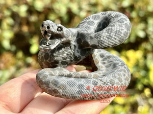 2.8" Natural Money stone Hand Carved Snake,Crystal quartz Skull,Snake Carving,Energy crystal,Reiki healing,Home Decor,Crystal gifts 1PC