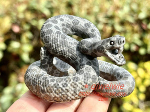 2.8" Natural Money stone Hand Carved Snake,Crystal quartz Skull,Snake Carving,Energy crystal,Reiki healing,Home Decor,Crystal gifts 1PC
