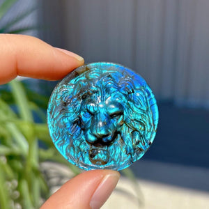 Natural Labradorite Lion,Quartz Crystal Lion,Mineral Sample,Crystal Pendant,Crystal Animal,Reiki Healing,Crystal Gift,Crystal Energy,Rock
