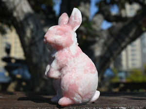 4'' Natural Pink Opalite Carved Rabbit, Crystal Skull ,Rabbit Carving, Crystal Healing Decor, Home Decor, Crystal gift 1PC