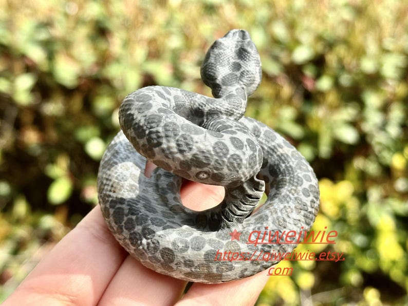 2.8" Natural Money stone Hand Carved Snake,Crystal quartz Skull,Snake Carving,Energy crystal,Reiki healing,Home Decor,Crystal gifts 1PC