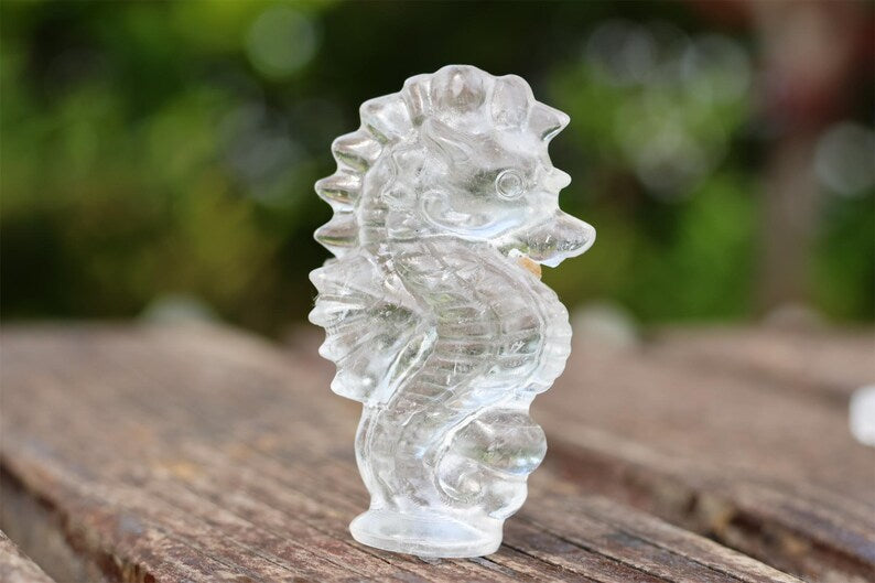 2.4" Natural clear quartz sea Horse, Quartz Crystal Carved ,Crystal Heal Reiki,Home decoration,Crystal Sculpture,Mineral,Crystal Gifts