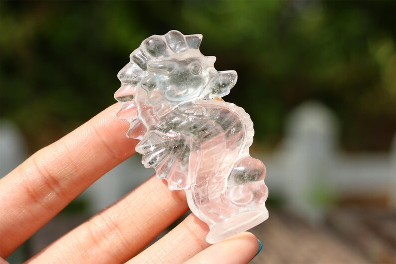 2.4" Natural clear quartz sea Horse, Quartz Crystal Carved ,Crystal Heal Reiki,Home decoration,Crystal Sculpture,Mineral,Crystal Gifts
