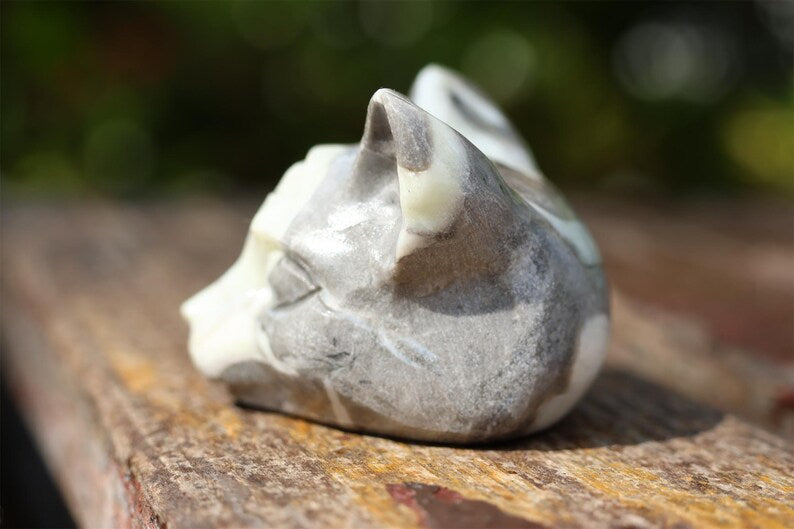 2" Natral shell stone cat head,Quartz Crystal Carved ,Crystal Heal Reiki,Home decoration,Crystal Sculpture,Mineral,Crystal Gifts