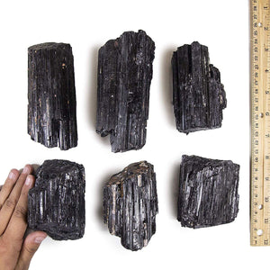 2 Lb Black Tourmaline Collection In Box of 7x5x2, 12-18 Pcs Healing Crystals…